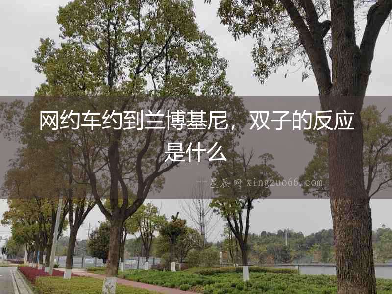 網約車約到蘭博基尼，雙子的反應是什么