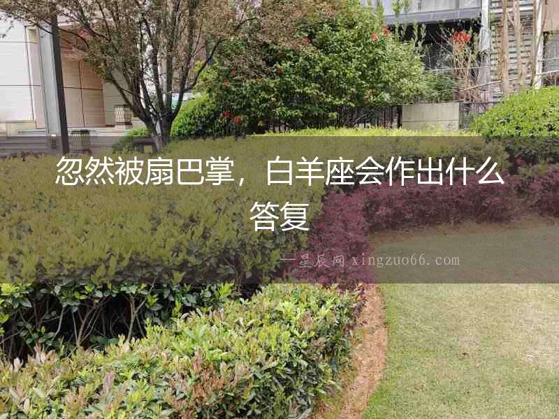忽然被扇巴掌，白羊座會作出什么答復