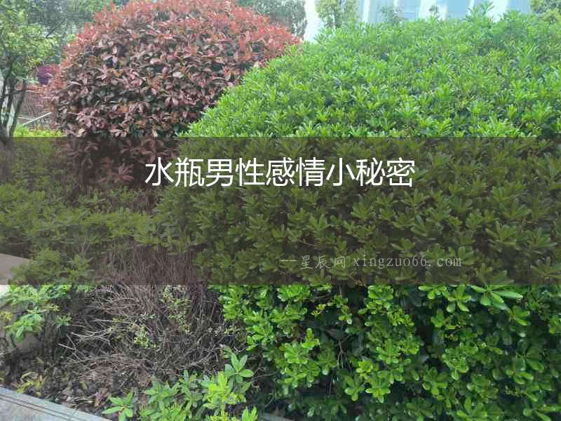 水瓶男性感情小秘密
