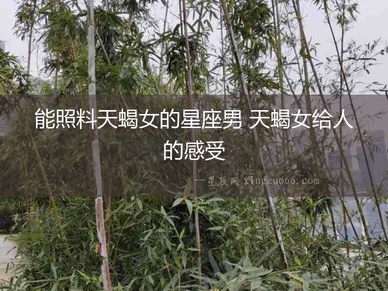 能照料天蝎女的星座男 天蝎女給人的感受