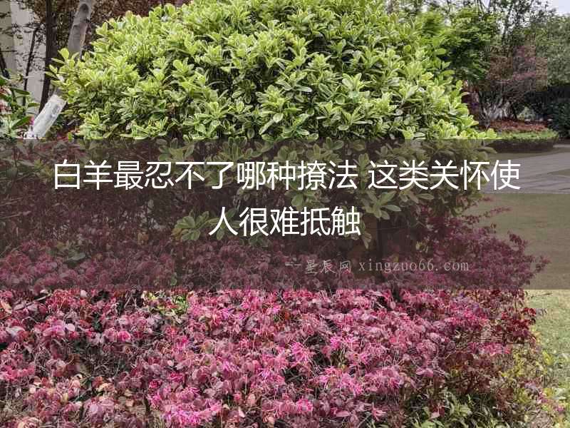 白羊最忍不了哪種撩法 這類關懷使人很難抵觸