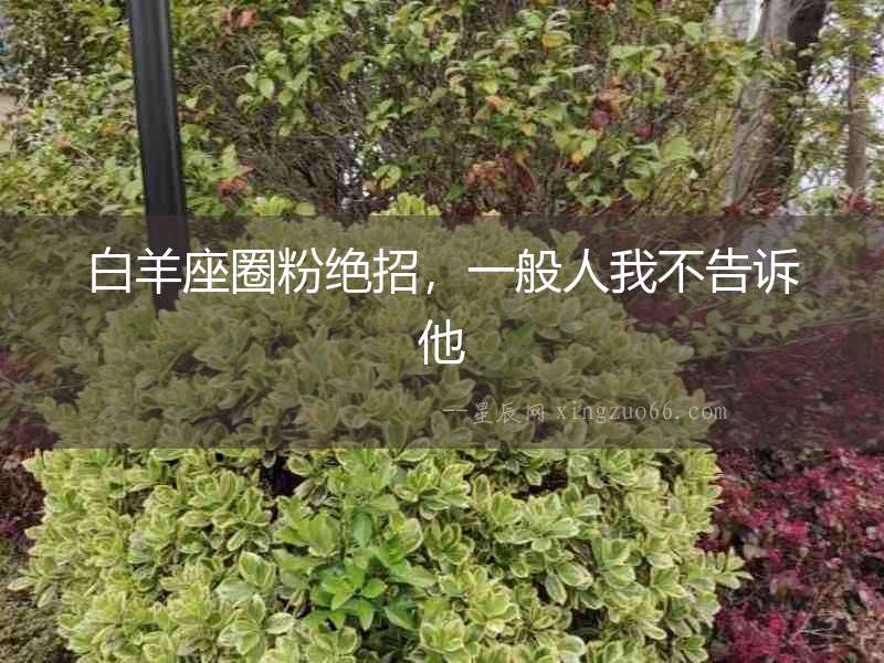 白羊座圈粉絕招，一般人我不告訴他