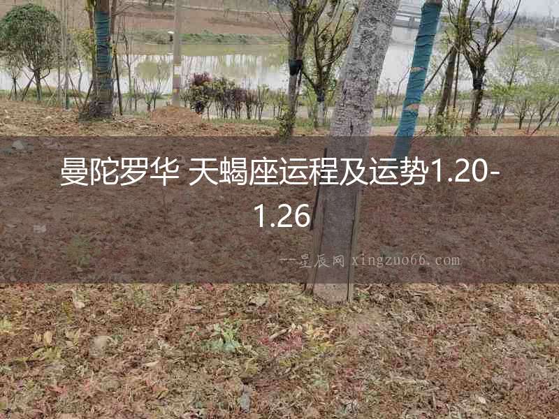 曼陀羅華 天蝎座運(yùn)程及運(yùn)勢(shì)1.20-1.26