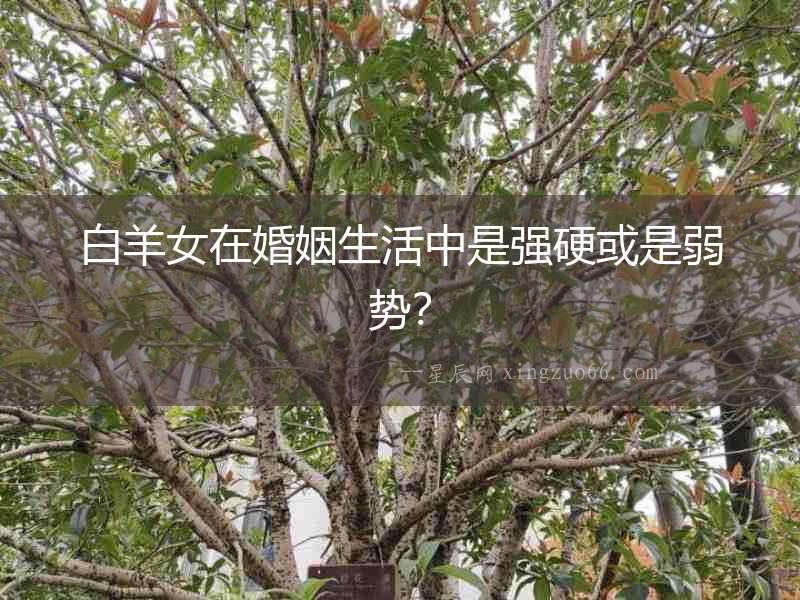 白羊女在婚姻生活中是強(qiáng)硬或是弱勢(shì)？