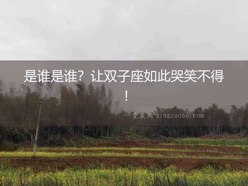 是誰是誰？讓雙子座如此哭笑不得！