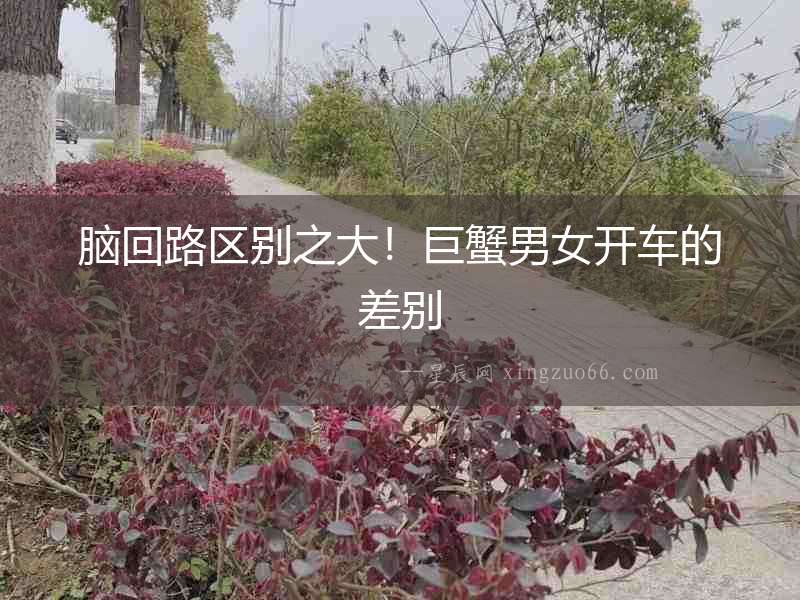 腦回路區(qū)別之大！巨蟹男女開車的差別