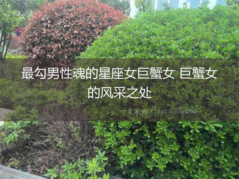 最勾男性魂的星座女巨蟹女 巨蟹女的風采之處