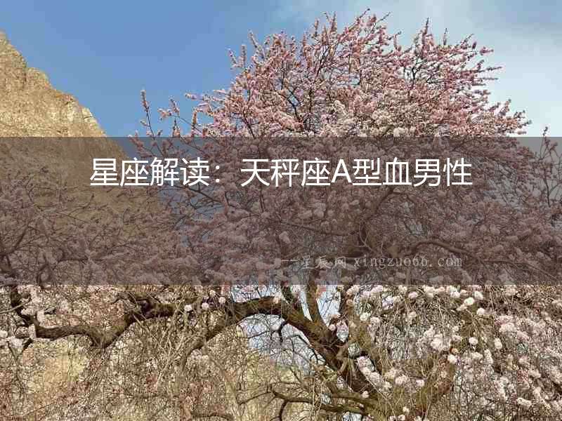 星座解讀：天秤座A型血男性