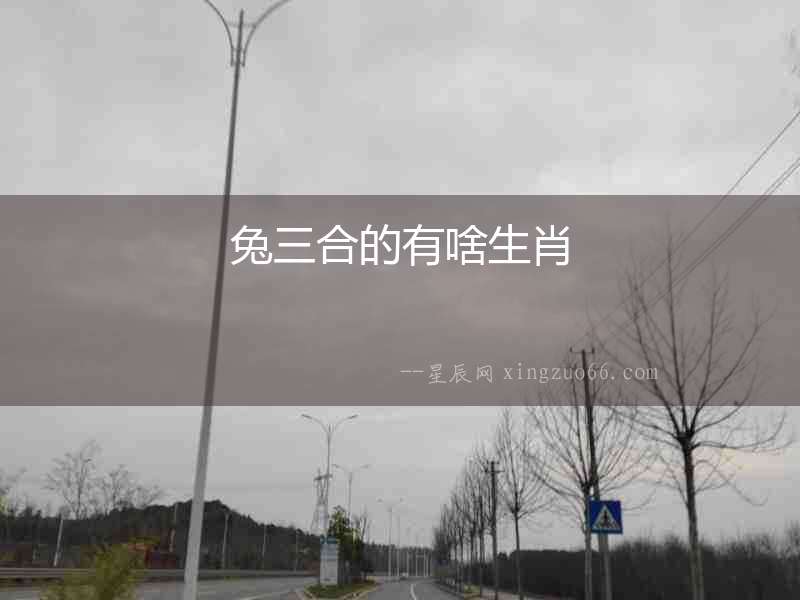 兔三合的有啥生肖
