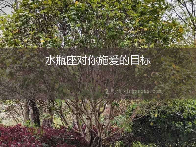 水瓶座對你施愛的目標