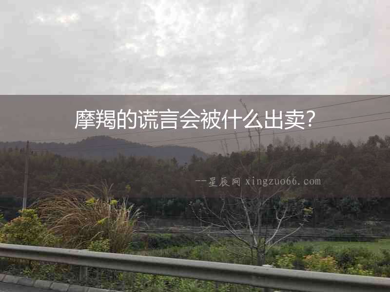 摩羯的謊言會被什么出賣？