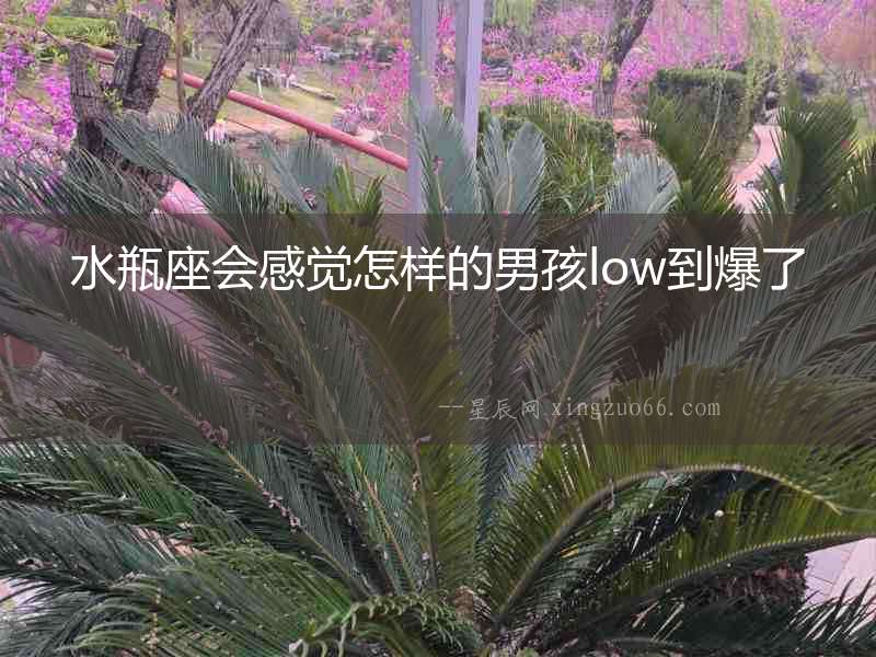 水瓶座會(huì)感覺怎樣的男孩low到爆了