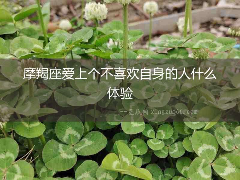 摩羯座愛上個(gè)不喜歡自身的人什么體驗(yàn)