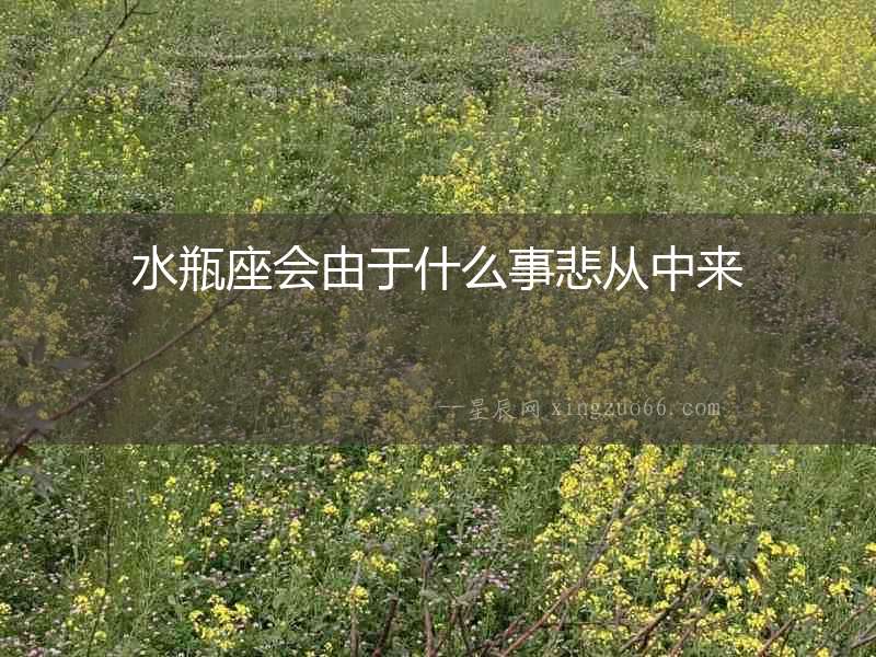 水瓶座會(huì)由于什么事悲從中來(lái)