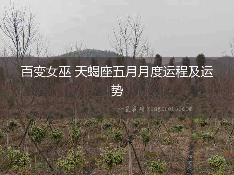 百變女巫 天蝎座五月月度運程及運勢