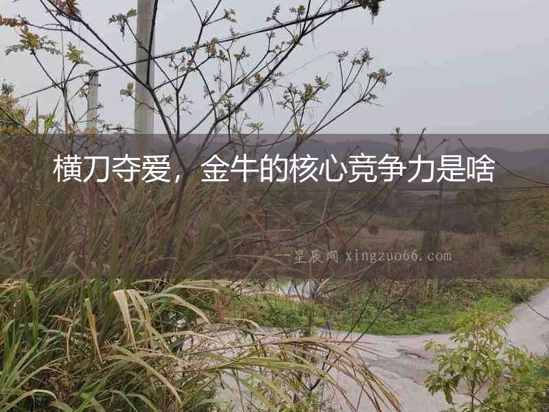 橫刀奪愛(ài)，金牛的核心競(jìng)爭(zhēng)力是啥
