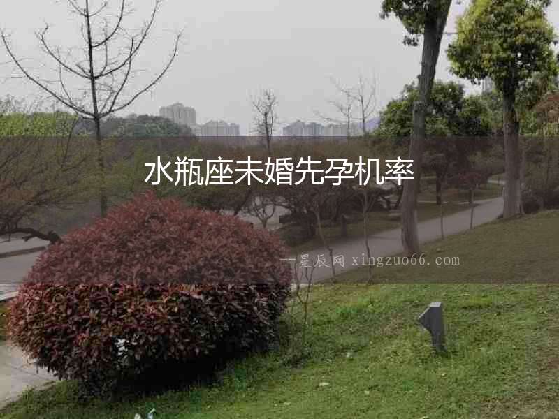 水瓶座未婚先孕機率