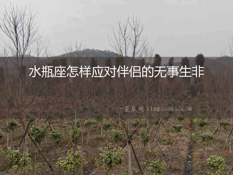 水瓶座怎樣應(yīng)對伴侶的無事生非