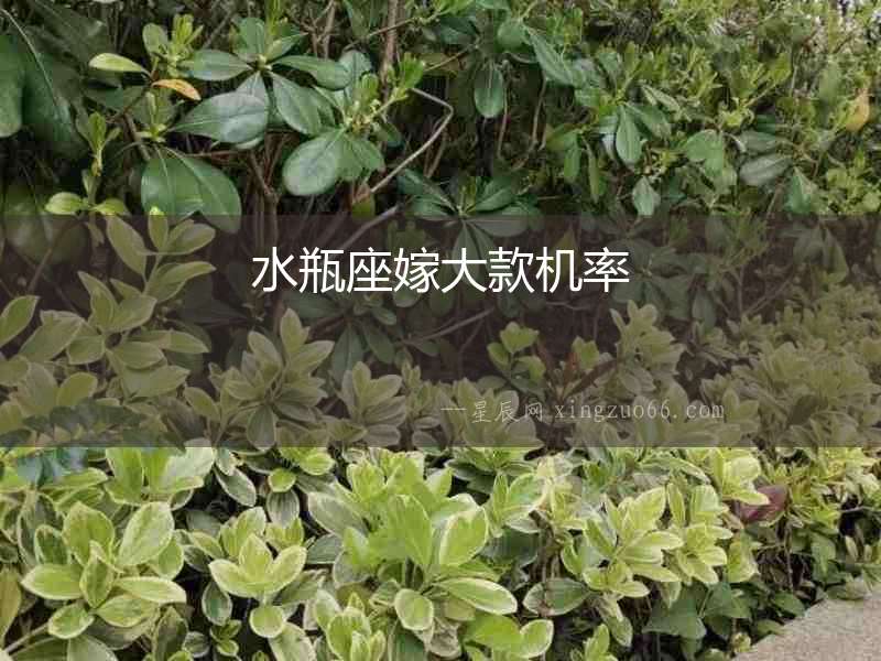 水瓶座嫁大款機率