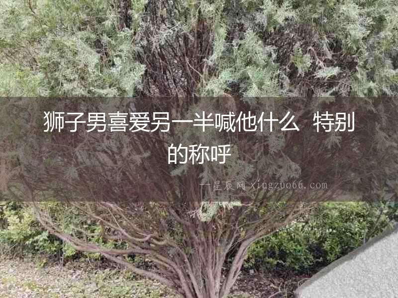 獅子男喜愛另一半喊他什么  特別的稱呼