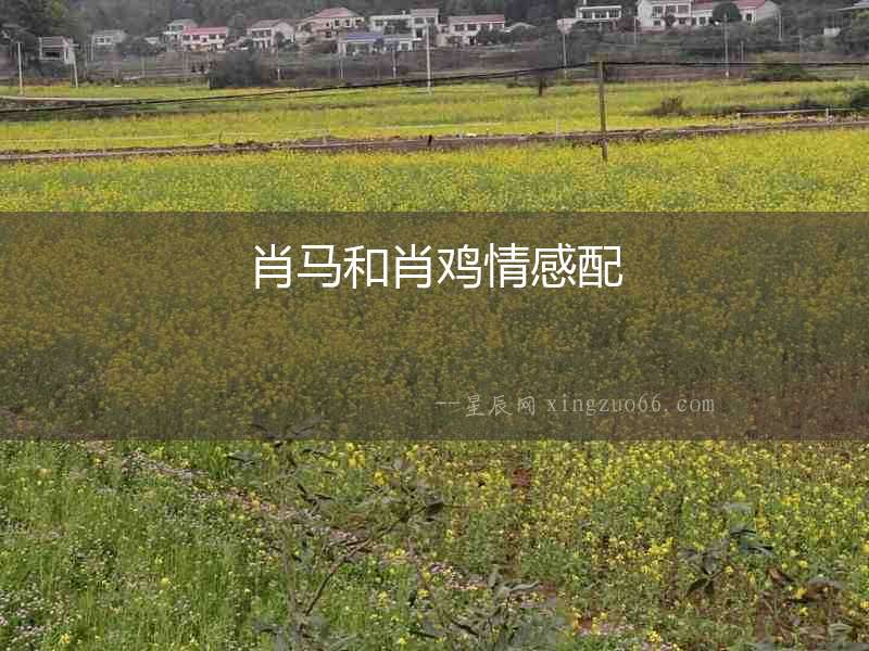 肖馬和肖雞情感配