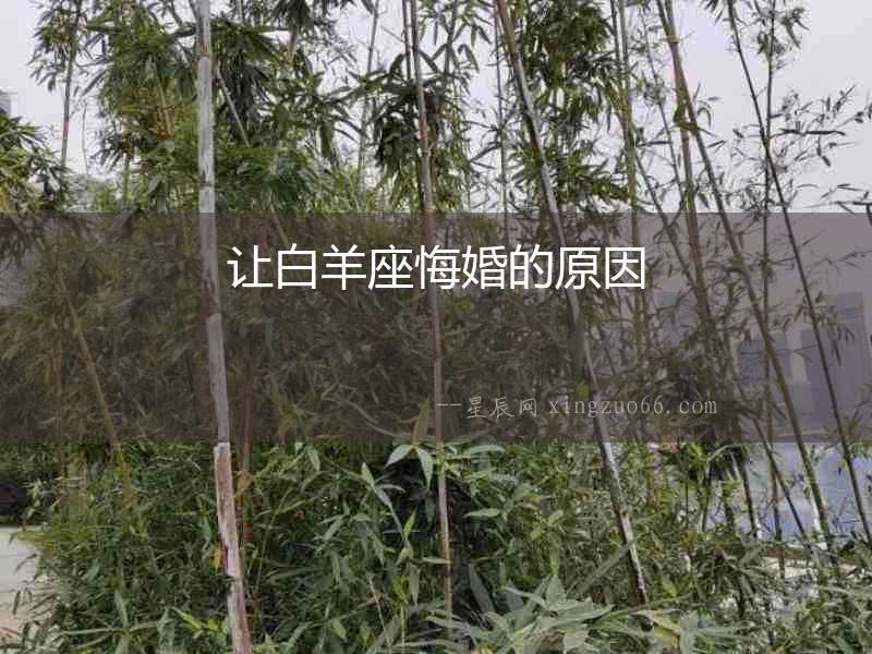 讓白羊座悔婚的原因