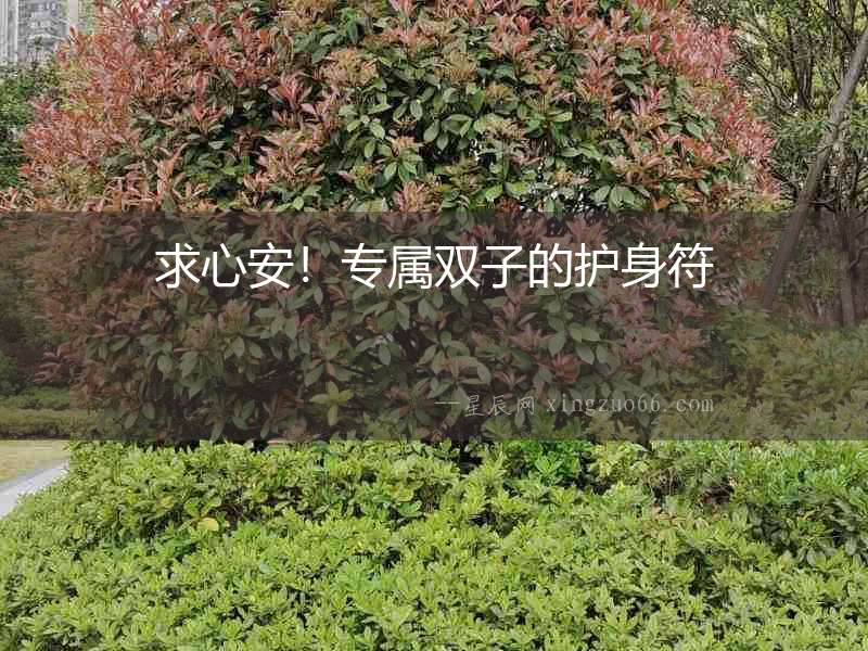 求心安！專屬雙子的護身符