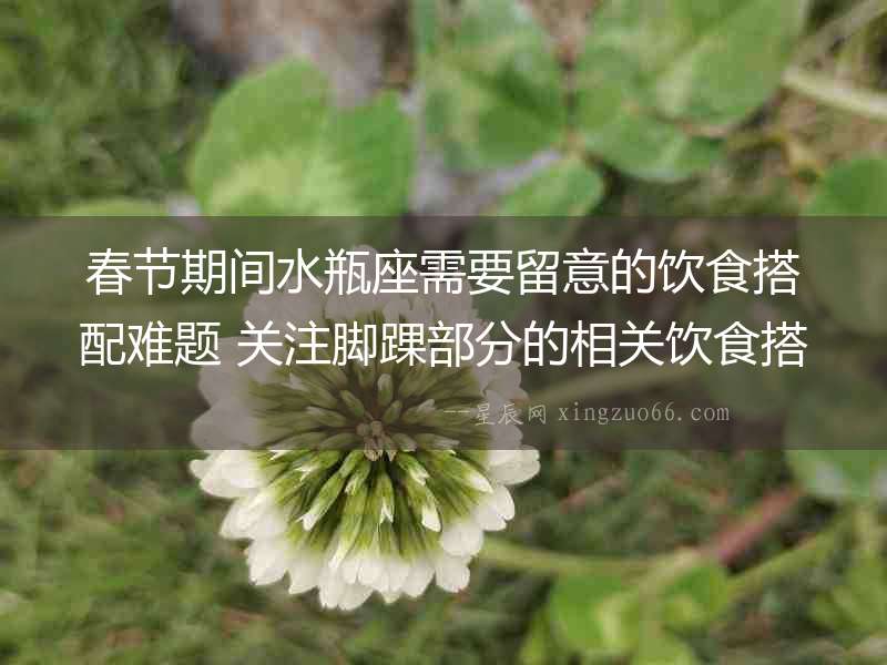 春節(jié)期間水瓶座需要留意的飲食搭配難題 關(guān)注腳踝部分的相關(guān)飲食搭配