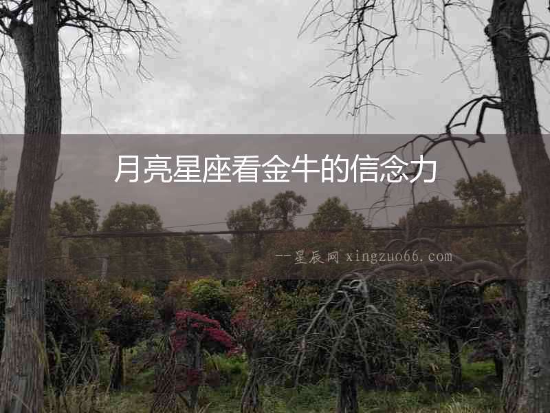 月亮星座看金牛的信念力