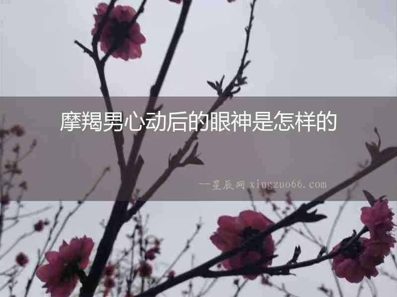 摩羯男心動后的眼神是怎樣的
