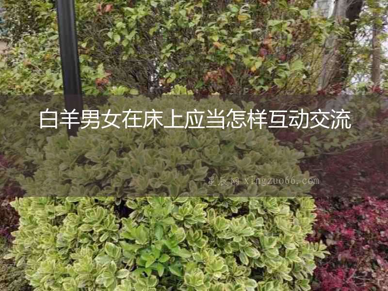 白羊男女在床上應當怎樣互動交流