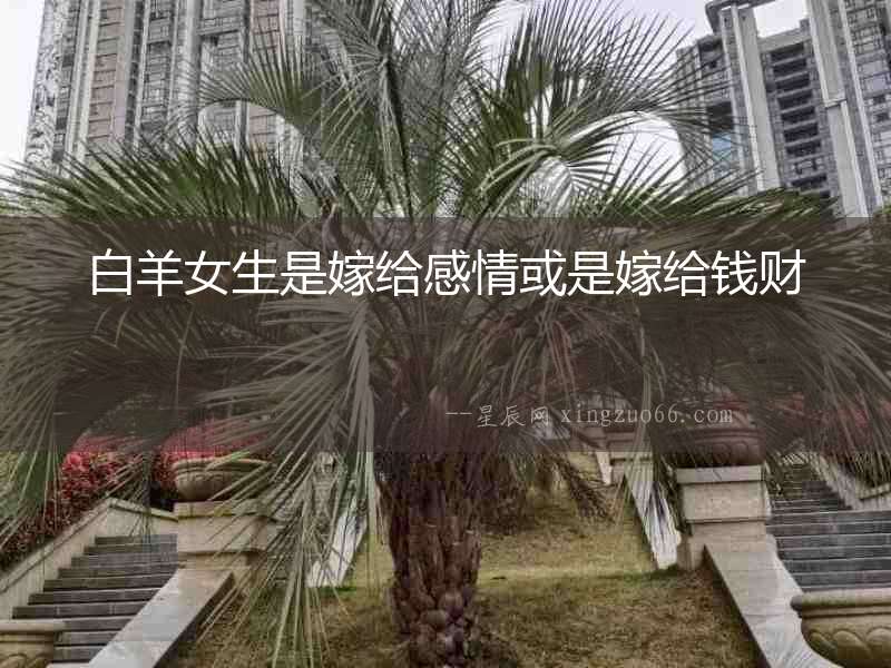 白羊女生是嫁給感情或是嫁給錢財