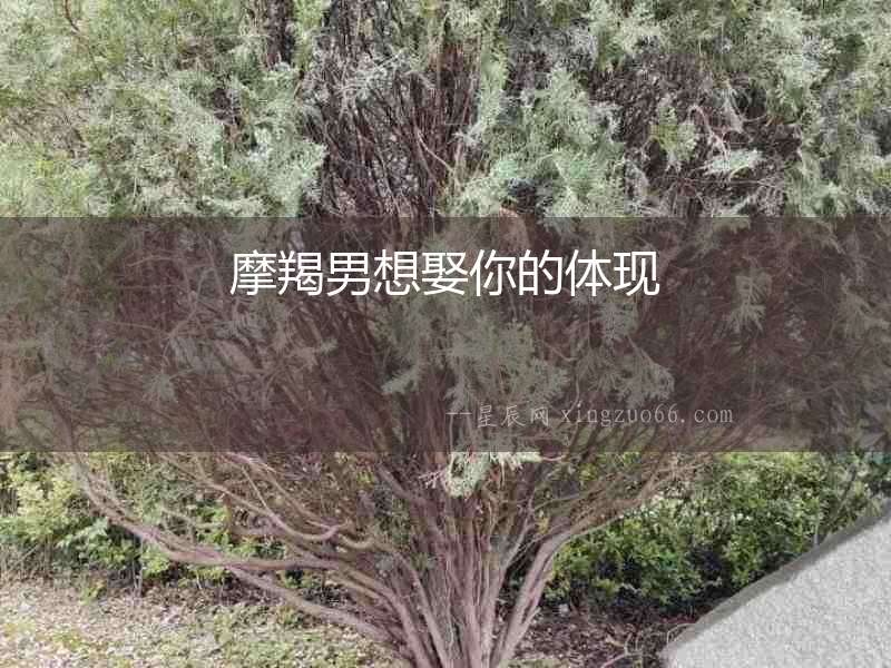 摩羯男想娶你的體現(xiàn)