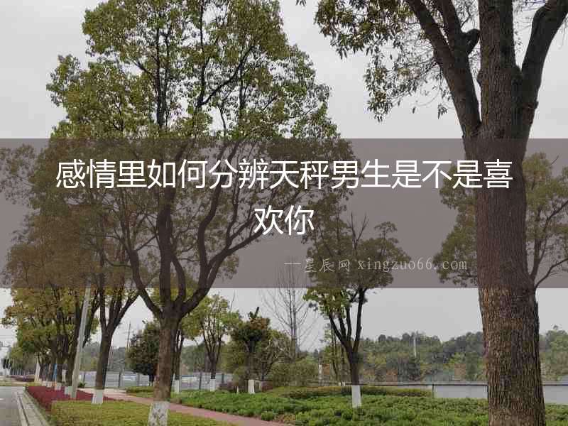 感情里如何分辨天秤男生是不是喜歡你