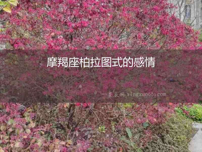 摩羯座柏拉圖式的感情