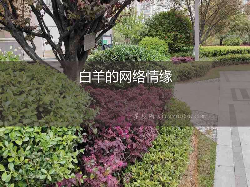 白羊的網(wǎng)絡(luò)情緣