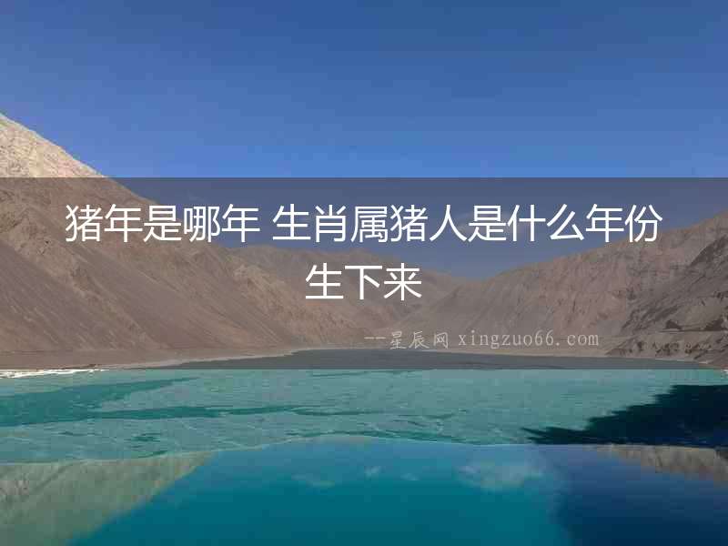 豬年是哪年 生肖屬豬人是什么年份生下來