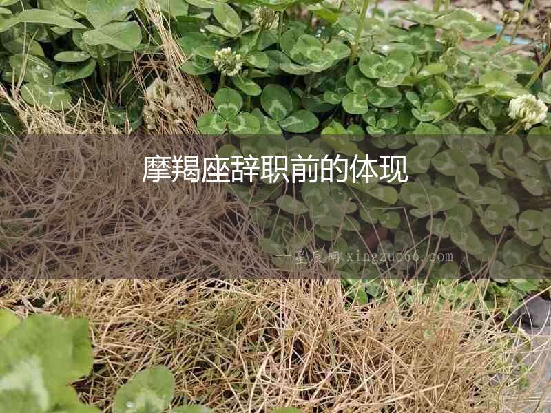 摩羯座辭職前的體現