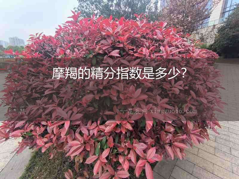 摩羯的精分指數(shù)是多少？