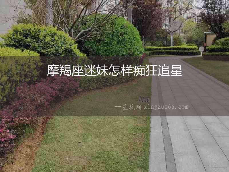 摩羯座迷妹怎樣癡狂追星