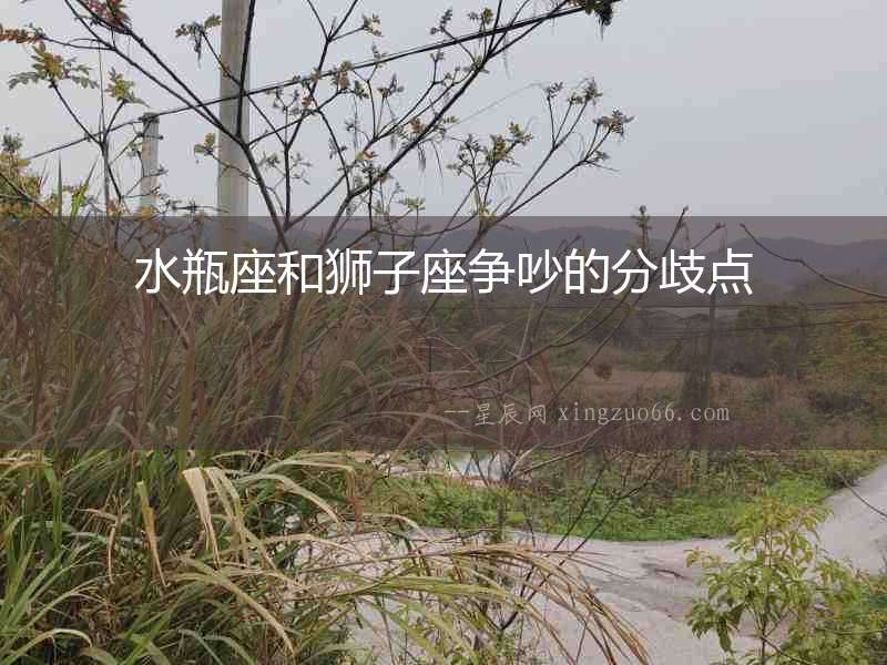 水瓶座和獅子座爭吵的分歧點