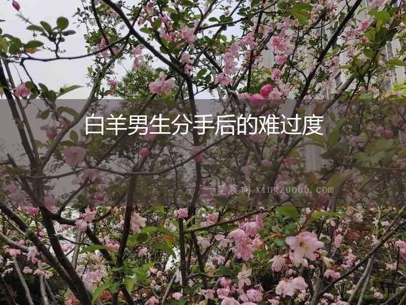 白羊男生分手后的難過度
