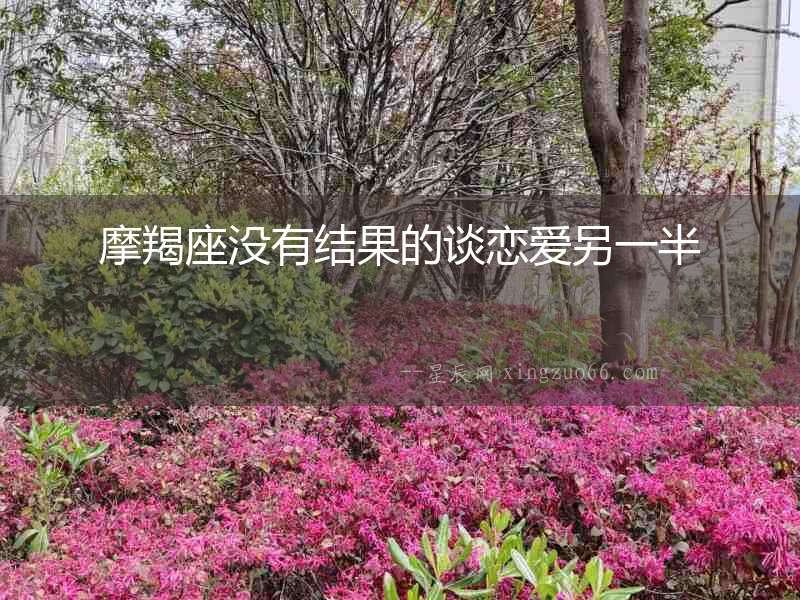 摩羯座沒有結果的談戀愛另一半