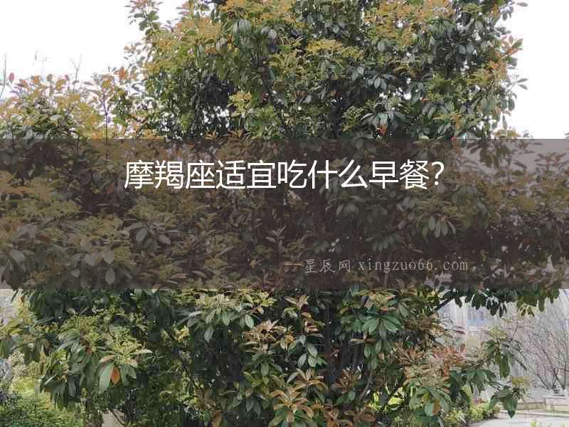 摩羯座適宜吃什么早餐？