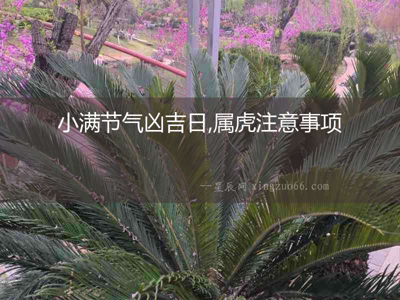 小滿節氣兇吉日,屬虎注意事項