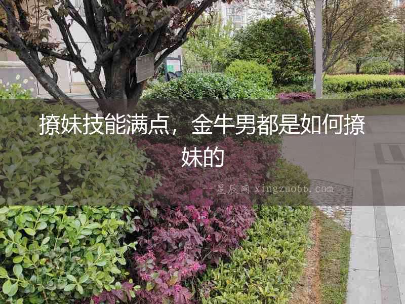 撩妹技能滿點，金牛男都是如何撩妹的