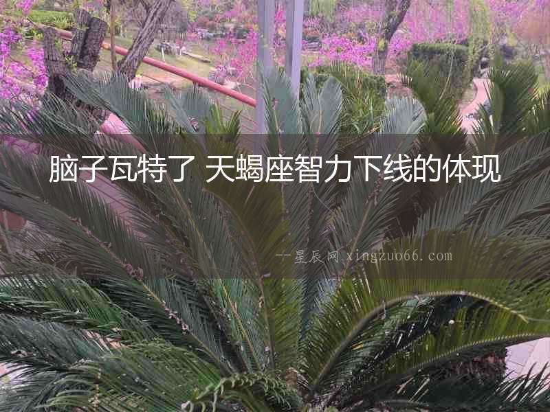 腦子瓦特了 天蝎座智力下線的體現(xiàn)