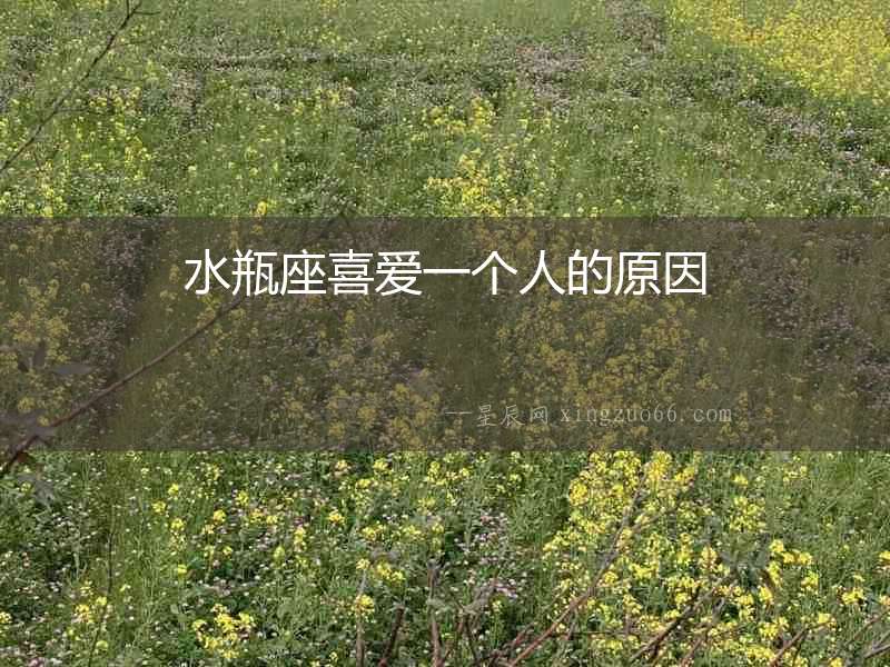 水瓶座喜愛一個(gè)人的原因