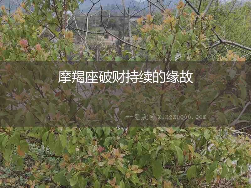 摩羯座破財(cái)持續(xù)的緣故