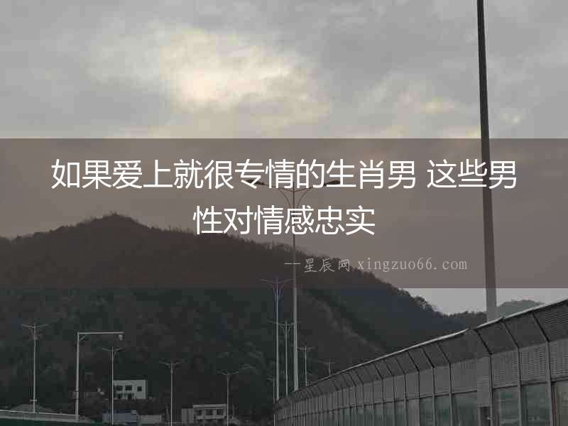 如果愛上就很專情的生肖男 這些男性對情感忠實